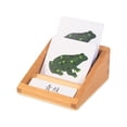 thumbnail image 1 of lionlar Baby Early Educational Development Preschool Toy frog, 1 of 9