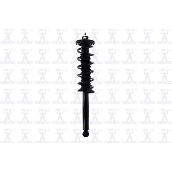 Suspension Strut and Coil Spring Assembly