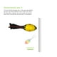 thumbnail image 4 of Vortex Aero Howler Pelota de espuma deportiva de bolsillo Aero Flyer juguete de fútbol clásico de larga distancia YUNYI BRAND  Deportes, 4 of 8