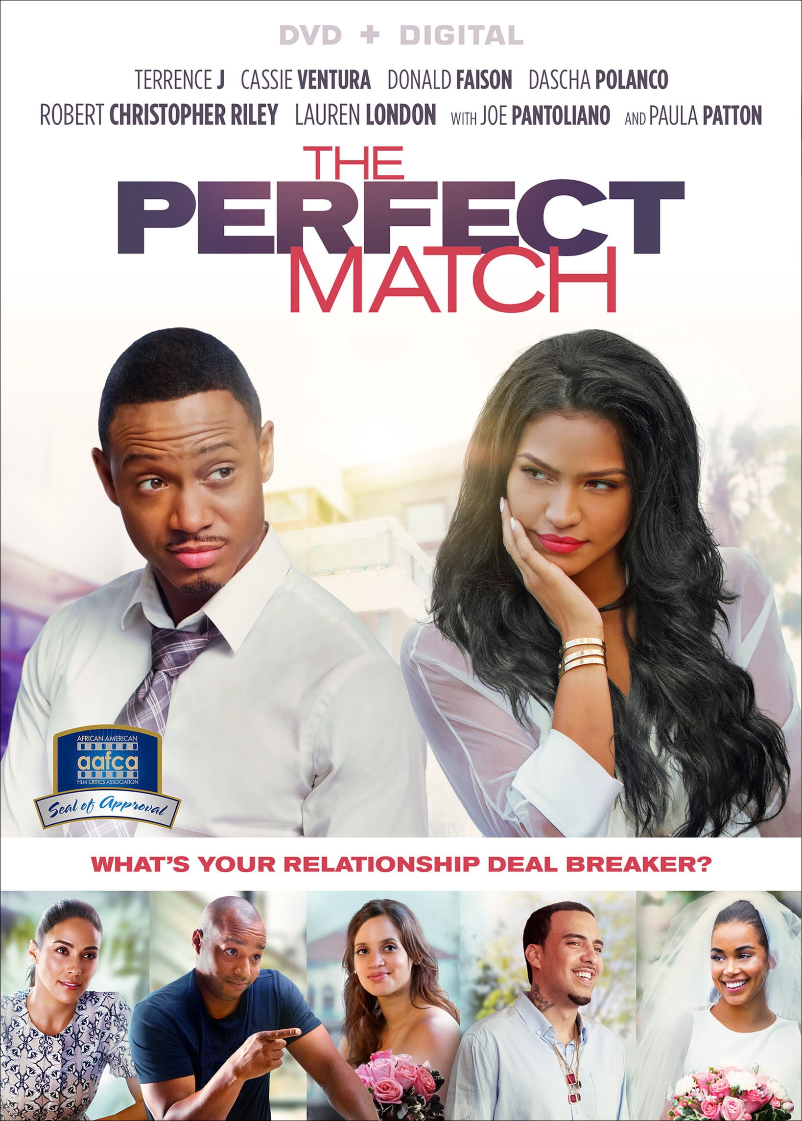 The Perfect Match [DVD] [2016] - Walmart.com