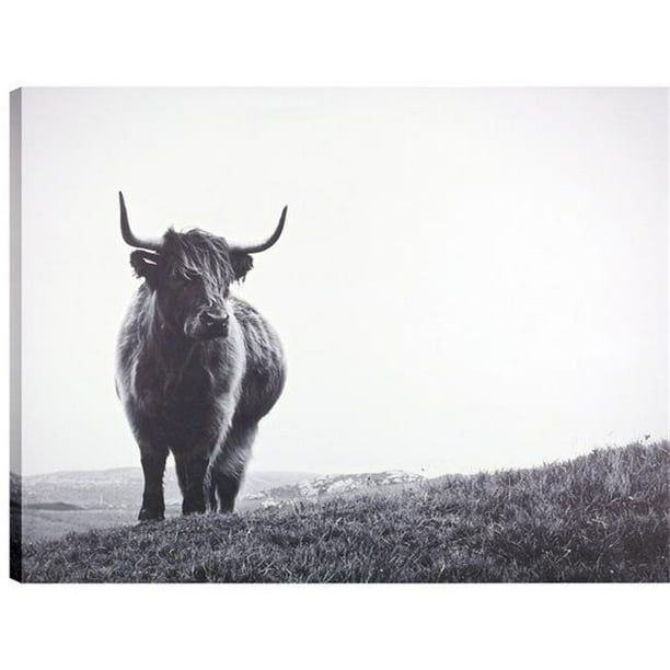 30 X 40 In Bison Canvas Print Wall Art Walmart Com Walmart Com