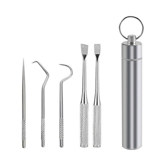 Matsuzay Palillo de dientes portátil, selección de limpieza de dientes, barbacoa desmontable, tenedor de fruta, herramientas de hilo dental Mostrada 5PCS