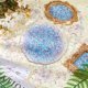 thumbnail image 5 of 80 g, 4 colores, cuentas crujientes Bingsu, cuentas de tubo de paja iridiscentes suaves, cuentas de plástico con purpurina 3D, surtido de microperlas de slime crujientes, suministros, 1 color/bolsa, 5 of 6