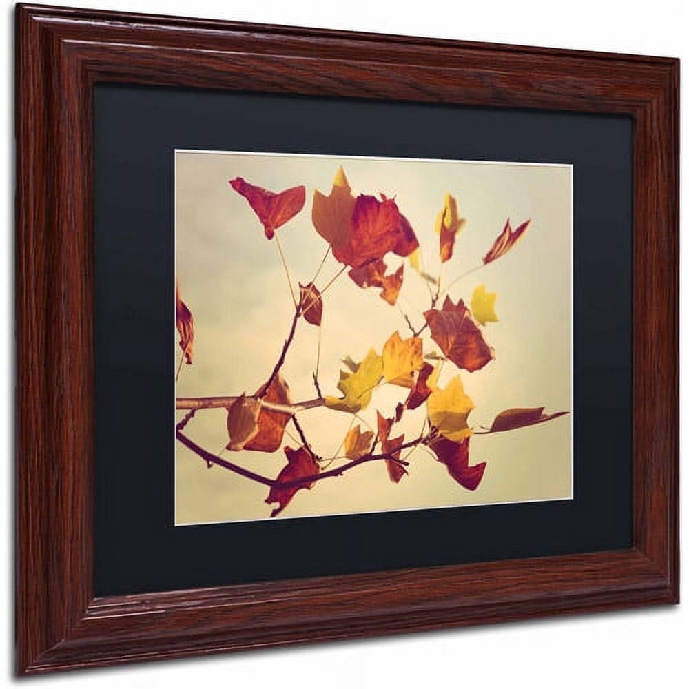 Trademark Fine Art "Still Fall" Canvas Art by Philippe Sainte-Laudy, Black Matte, Wood Frame
