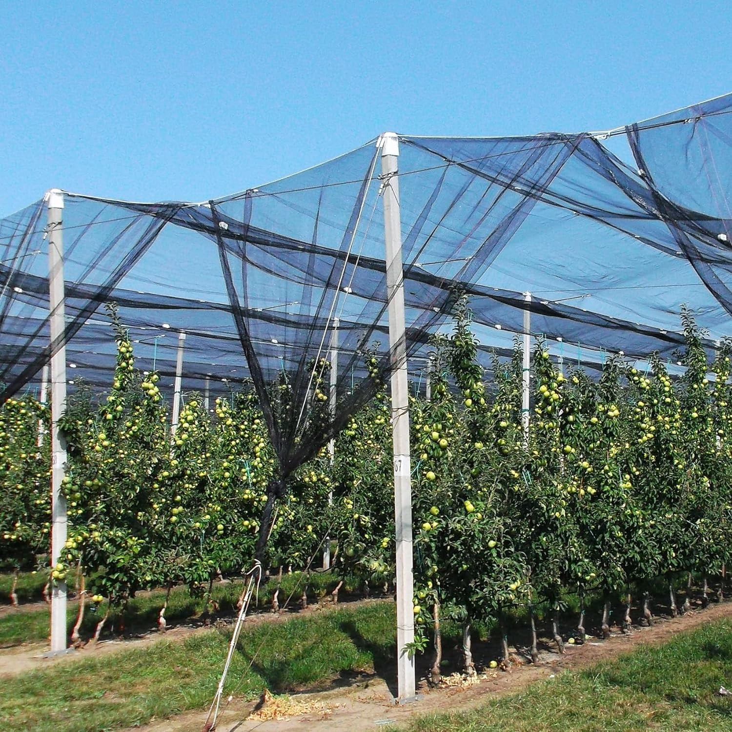 39 x 10 Ft Breathable Garden Mesh Netting, Multipurpose Insect and Bird Barrier Net, Outdoor Mosquito Protection Cover for Patio, Vegetables, Fruits and Garden Plants