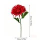 thumbnail image 3 of Independence Day Artificial Flower Themed Party Decorations in Red White Blue, 3 of 6