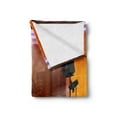 thumbnail image 2 of TV Show Soft Flannel Fleece Throw Blanket, Cartoon Style Graphic of Talk Show Studio with Couches Camera and Backstage View, Cozy Plush for Indoor and Outdoor Use, 50" x 70", Multicolor, by Ambesonne, 2 of 5