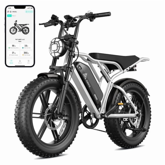 TST Electric Bike for Adults, 48V/15AH Battery, 20"x4" Fat Tire, 750W Motor EBike For Men, Tested to UL2849 Standard by SGS