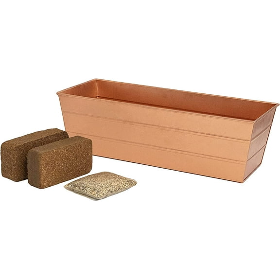 Bloom Box Garden Growing Kit Medium Copper