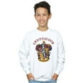 thumbnail image 3 of Harry Potter Boys Gryffindor Cotton Sweatshirt, 3 of 6