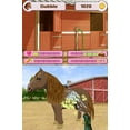 thumbnail image 3 of Petz Pony Beauty Pagent (Nintendo DS), 3 of 7