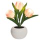 thumbnail image 1 of Pink tulip Lámpara Led, luces nocturnas pequeñas, luz nocturna para baño, dormitorio, pasillo, guardería, 1 of 5