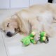 thumbnail image 5 of Juguete de peluche para perros con sonido chirriante, duradero, suave, interactivo y con costuras reforzadas., 5 of 5
