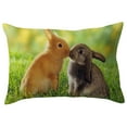 thumbnail image 2 of Teissuly Spring Pillow Cover Colorful Welcome Every Bunny Easter Rabbit Rectangular Cushion Cover Farmhouse Spring Seasonal Decor Pillowcases for Sofa Couch Patio (30 x 50cm) Teissuly WER202401276390, 2 of 3