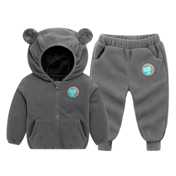 Fesfesfes Childrens Fleece Hooded Jacket and Pants 2 Piece Set Boys Girls Fall Winter Outfit Soft Warm Casual Playwear Kids Coordinated Set Toddler Homewear Cold Weather Clothes(Gray,5 Years)