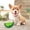 B, variant on SIfdSeng Freezable Pet Teether Cooling Chew Toy Fruit Lemon Pineapple Watermelon Design Durable Dog Cooling Chew Toys for Dogs Teething Toy for Puppies Dog Toys Teething Toys for Puppies Large Breed