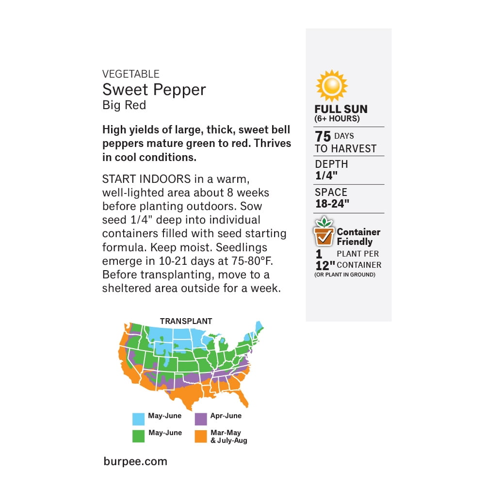 Burpee Big Red Sweet Pepper Vegetable Seed, 1-Pack