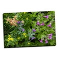 thumbnail image 2 of Gango Home Decor Contemporary Wildflower Meadow II by Kathy Mahan (Ready to Hang); One 36x24in Hand-Stretched Canvas, 2 of 4