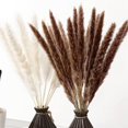 thumbnail image 2 of Juego de 30 flores secas de hierba Pampas TUNC decoración de plantas artificiales naturales Color mezclado, 2 of 5