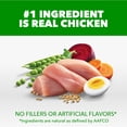 thumbnail image 6 of IAMS Proactive Health Large Breed Adult Chicken & Whole Grain Recipe Dry Dog Food, 38.5 Lb Bag, 6 of 12