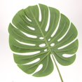 thumbnail image 4 of 5 hojas de palma artificiales para decoración de jardín de jungla Verde oscuro L, 4 of 9