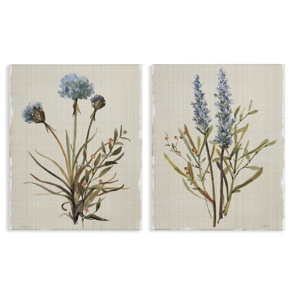 Stupell Industries Natural Budding Blooms Floral Painting Wrapped Canvas Canvas Art Print Wall Art, 16 x 20, Set of 2