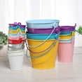 thumbnail image 4 of Advance Pet Product,Heavy Duty Stainless Steel Pail, Multicolor Garden Supply, 4 of 7