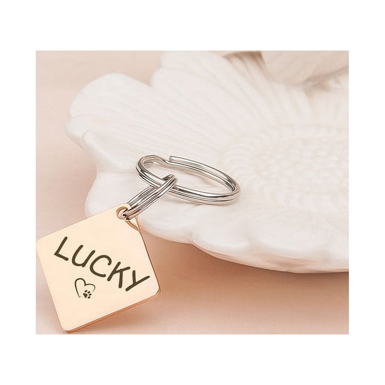 Anavia Stainless Steel Double Sided Diamond Name and Icon Engraved Dog & Cat ID Tag, Multi-color, S