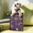 thumbnail image 3 of JennyGems Dog Milestone Chalkboard Sign – Reusable Birthday Board for Puppies & Dogs – Pet Memory Keepsake for Growth, Favorites & Firsts – Photo Prop for Dog Birthday Party – American Made, 3 of 11