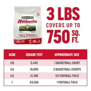 Pennington Rebels Tall Fescue Grass Seed, for Sun to Partial Shade, 3 lb.