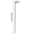 TWCTUWEN 2024 Chip Clip Flower Support Stakes Garden Single Flower Stem