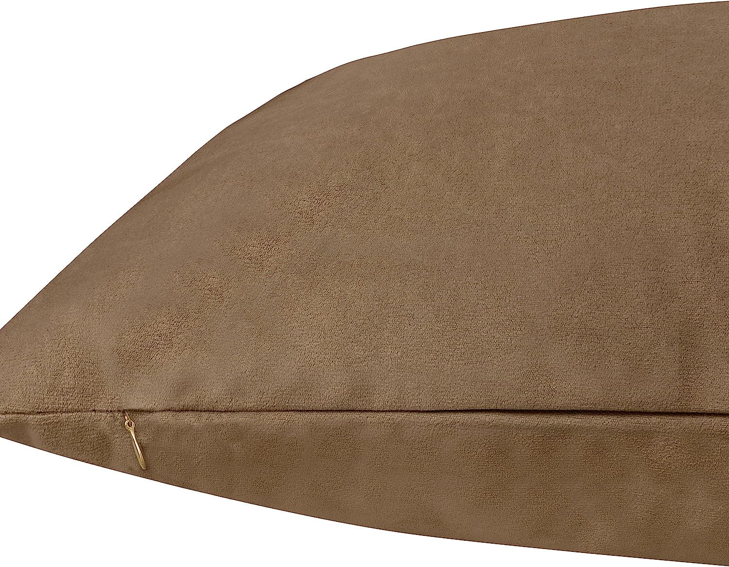 Delara Velvet Decorative Throw Pillow Cover, 20x20 inch, Pack of 1, Soft Breathable Cushion Cover with Hidden Zipper, Khaki