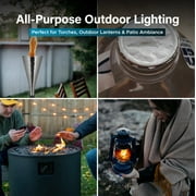 Firefly Fuel Tiki Torch Fuel, Odorless Oil, Longer Burn, Less Smoke, 32 oz
