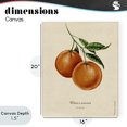 thumbnail image 4 of Stupell Industries Cottage Orange Fruit Portrait Canvas Art, 16 x 20, by Danielle Murray, 4 of 8
