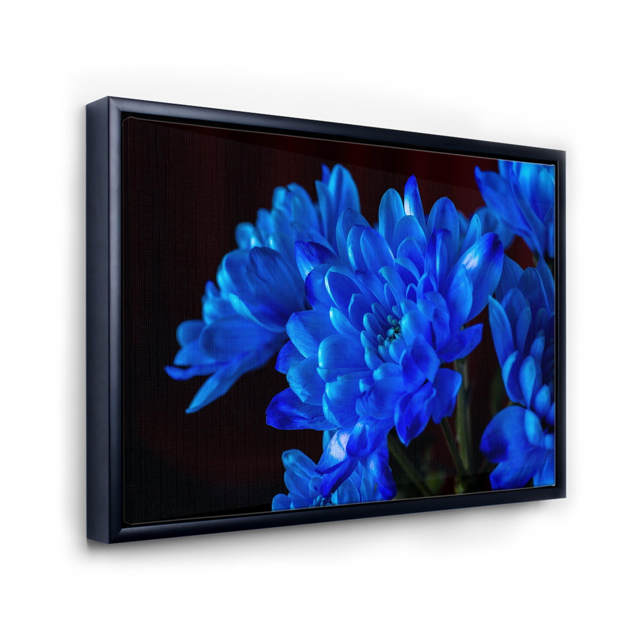 Designart 'Blue Chrysanthemum Flowers On Black Backround' Traditional Framed Canvas Wall Art Print