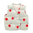 thumbnail image 2 of FNNMNNR Infant Boys Girls Lightweight Puffer down Vest Water Resistant down Coat Outwears Sleeveless Puffer Cartoon Vest Jacket with Buttons, 2 of 8