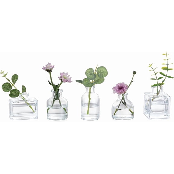 Mini Clear Glass Bud Vases Set of 5 for Flowers Centerpieces Wedding Party Decor