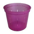 thumbnail image 1 of 3" Slotted Clear Orchid Pots - 3 Pack (Wild Orchid), 1 of 4