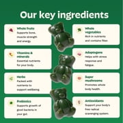 Gruns Adult Superfood Greens Gummies, Sugar-Free, 21 Vitamins & Minerals, Prebiotics Fiber for Digestion, Adaptogens, Spirulina Chlorella, 12 Servings