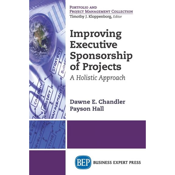 Improving Executive Sponsorship of Projects: A Holistic Approach, (Paperback)