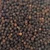 100% Organic Tellicherry Black Peppercorns by