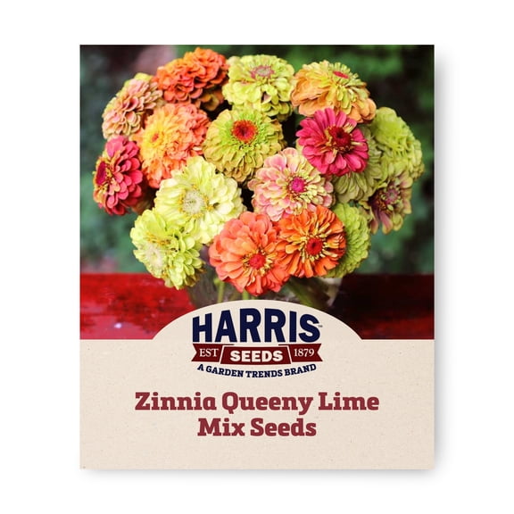 Harris Seeds Zinnia Queeny Lime Mix, Antique Color Cut Flower Variety, 50 Count