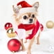 thumbnail image 3 of Capas y sombreros navideños para mascotas, trajes festivos. Los perros se transforman en disfraces navideños., 3 of 5