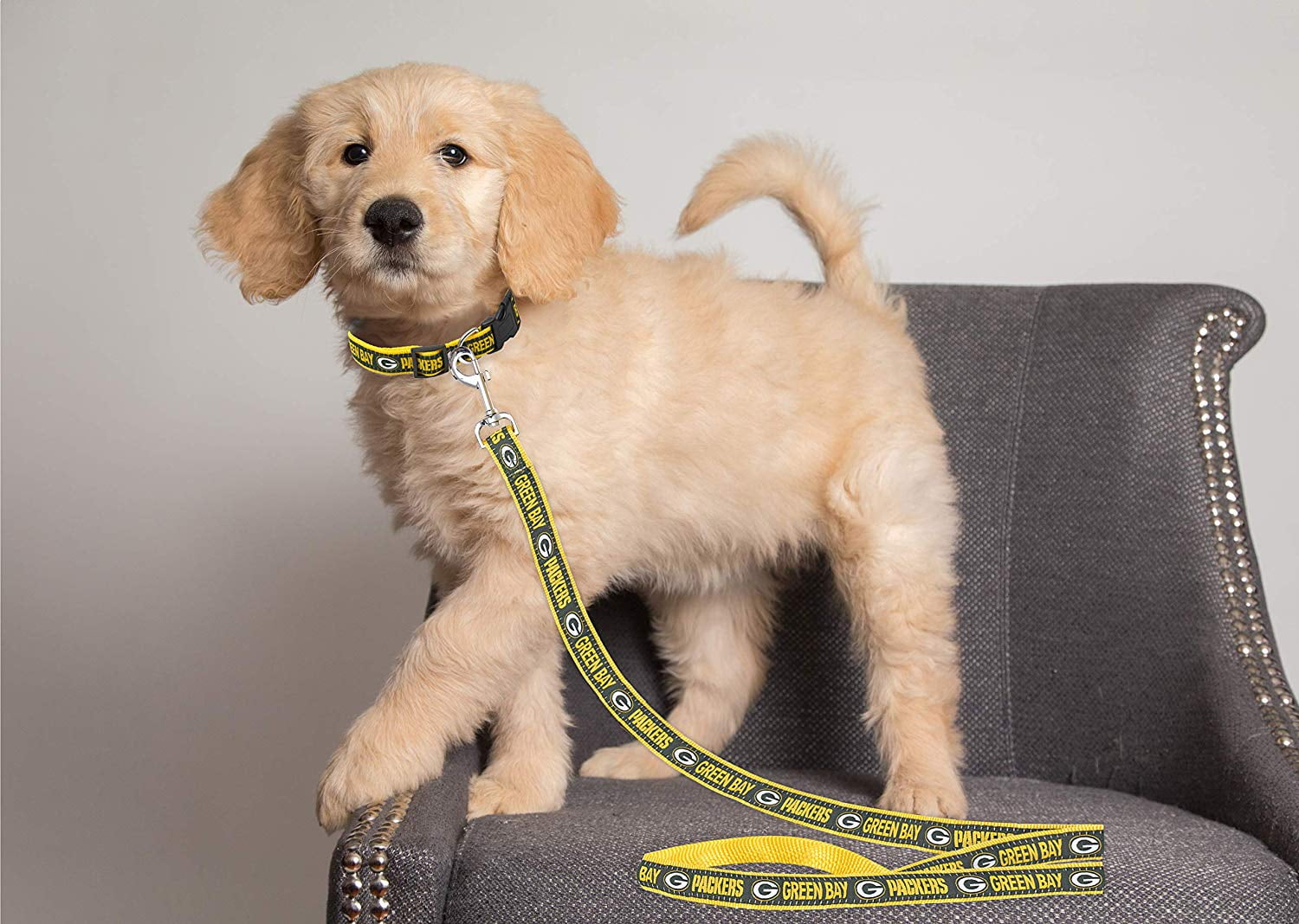 Pets First NFL Green Bay Packers Heavy Duty and Durable Dogs and Cats Sports Leash - Small