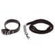 thumbnail image 1 of Correa de Perro Animal Doméstico Complimentos de Animales Domesticos Suave Black L, 1 of 9