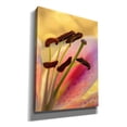 thumbnail image 2 of Epic Graffiti 'Lily Anthers' by Pamela Plummer, Canvas Wall Art, 12"x16", 2 of 8