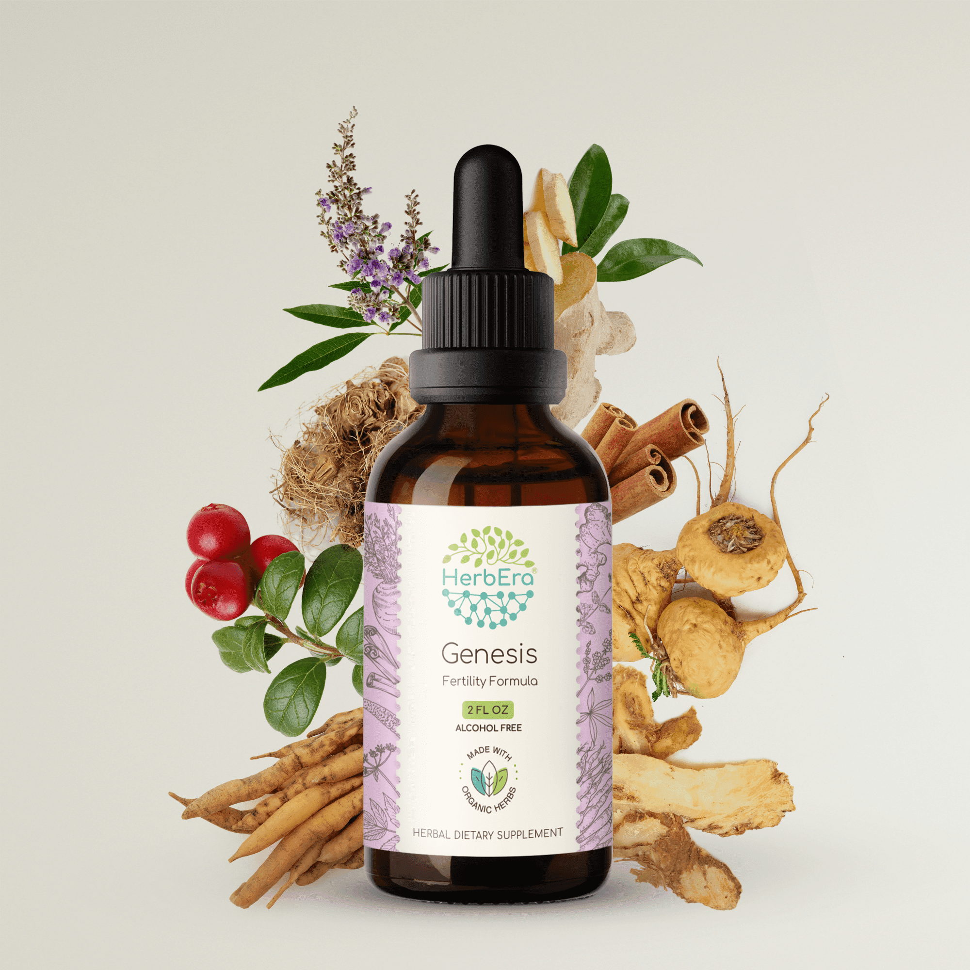 HerbEra Genesis Extract, Dietary Supplement Herbal Formula, Made from Vitex Berry, Maca, Dong Quai, Ginger, Shatavari Root,Cinnamon Bark. Wildcrafted: Partridgeberry Herb, False Unicorn Root 2 oz