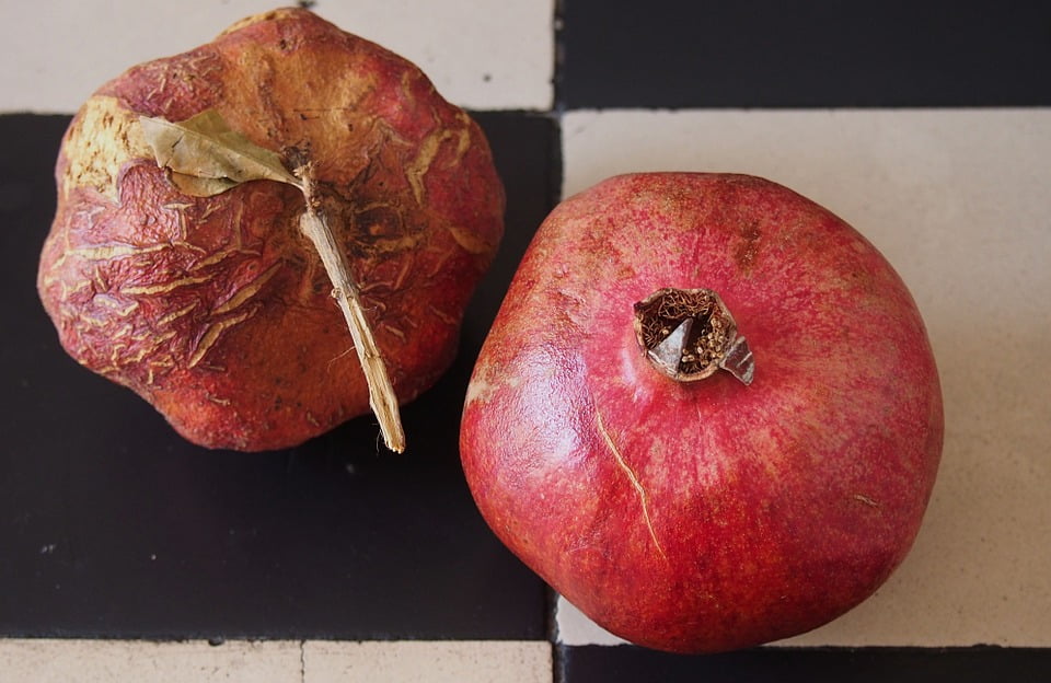 Poster Print /"Pomegranate/"