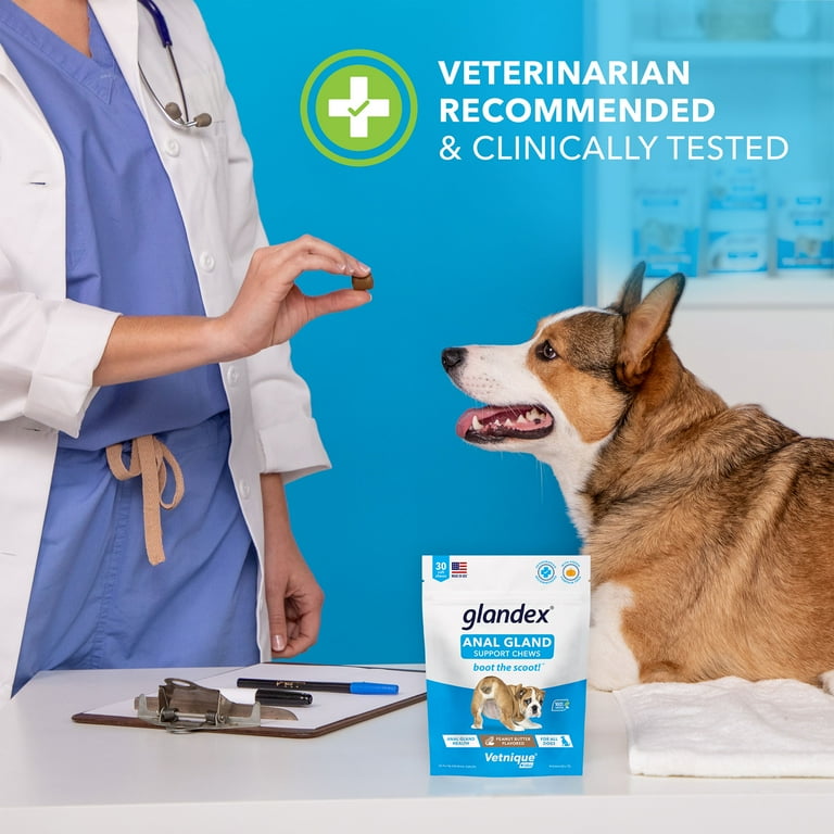 Vetinque Labs Glandex Anal Gland Soft Chews for All Dogs Peanut Butter Flavored 60 Count