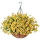 thumbnail image 1 of Cesta colgante artificial para mamás, plantas y flores | HyeFlora, 1 of 6